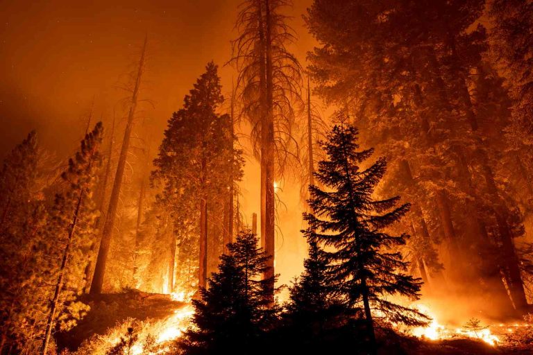 Are California's Fires Elaborate Fakeouts?