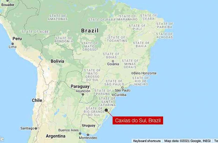 Brazilian officials arrest over a dozen over horse meat scandal